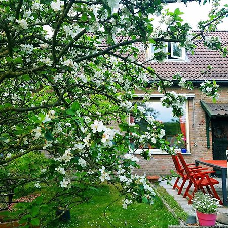 Huisjeaandedinkel Overdinkel Exterior foto