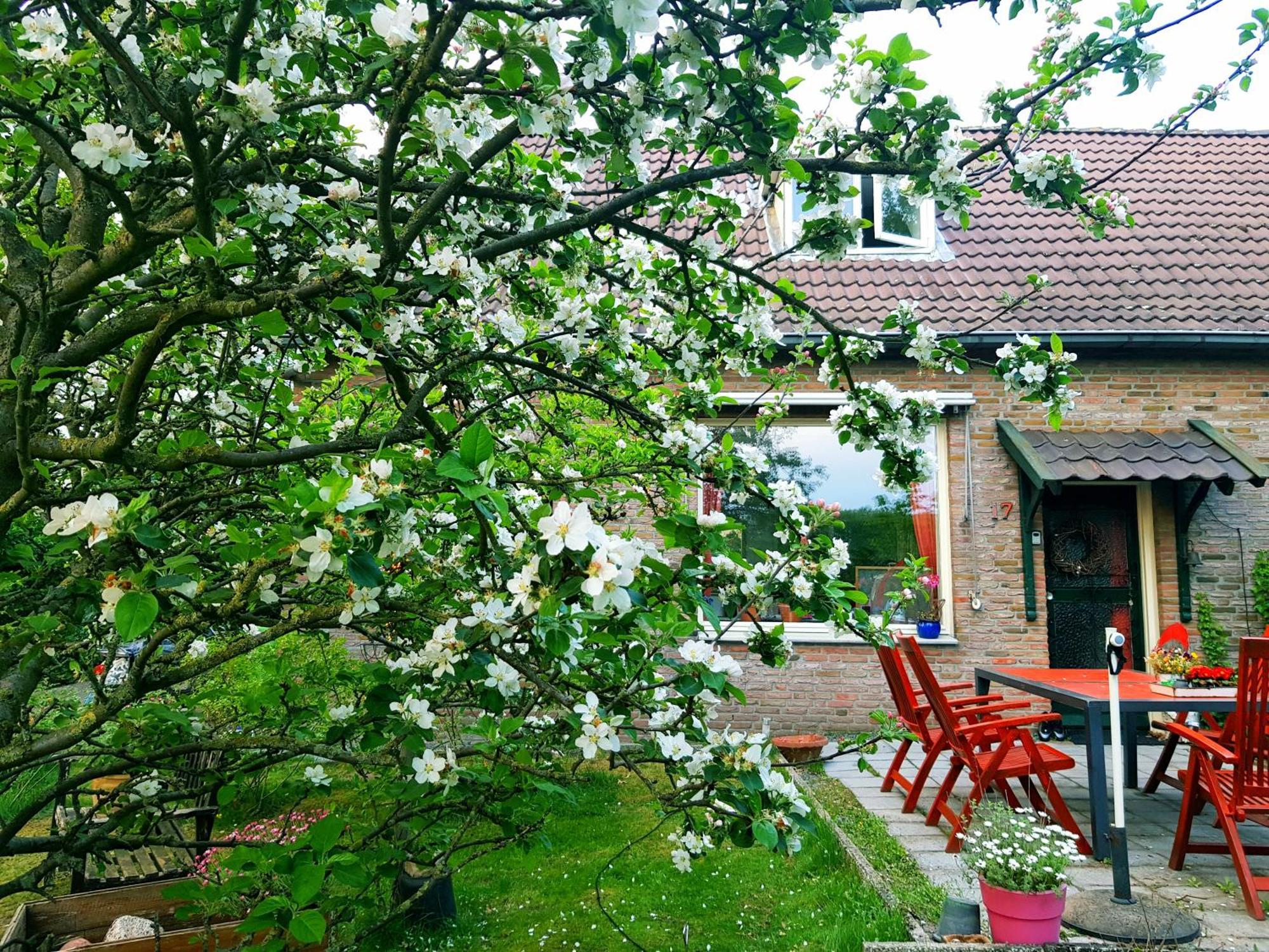 Huisjeaandedinkel Overdinkel Exterior foto
